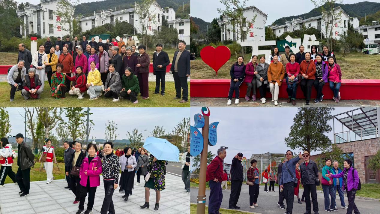 英国上市公司365