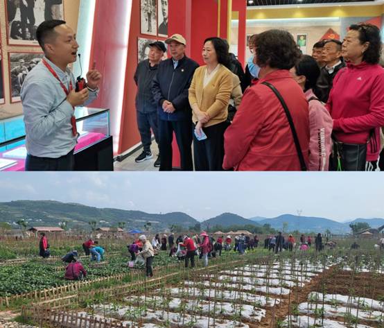 英国上市公司365