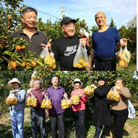 英国上市公司365